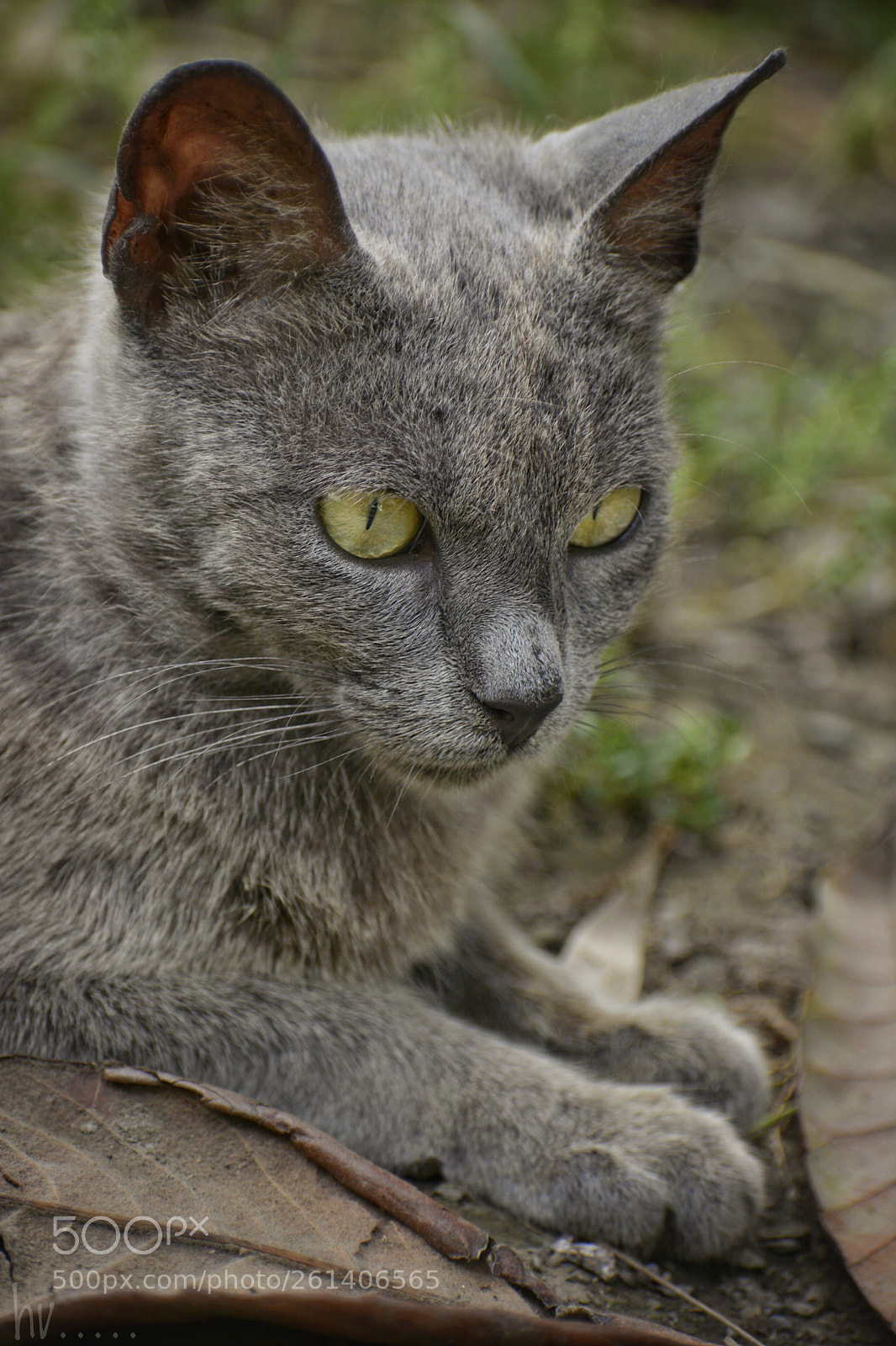 Nikon D7100 sample photo. Untitled photography