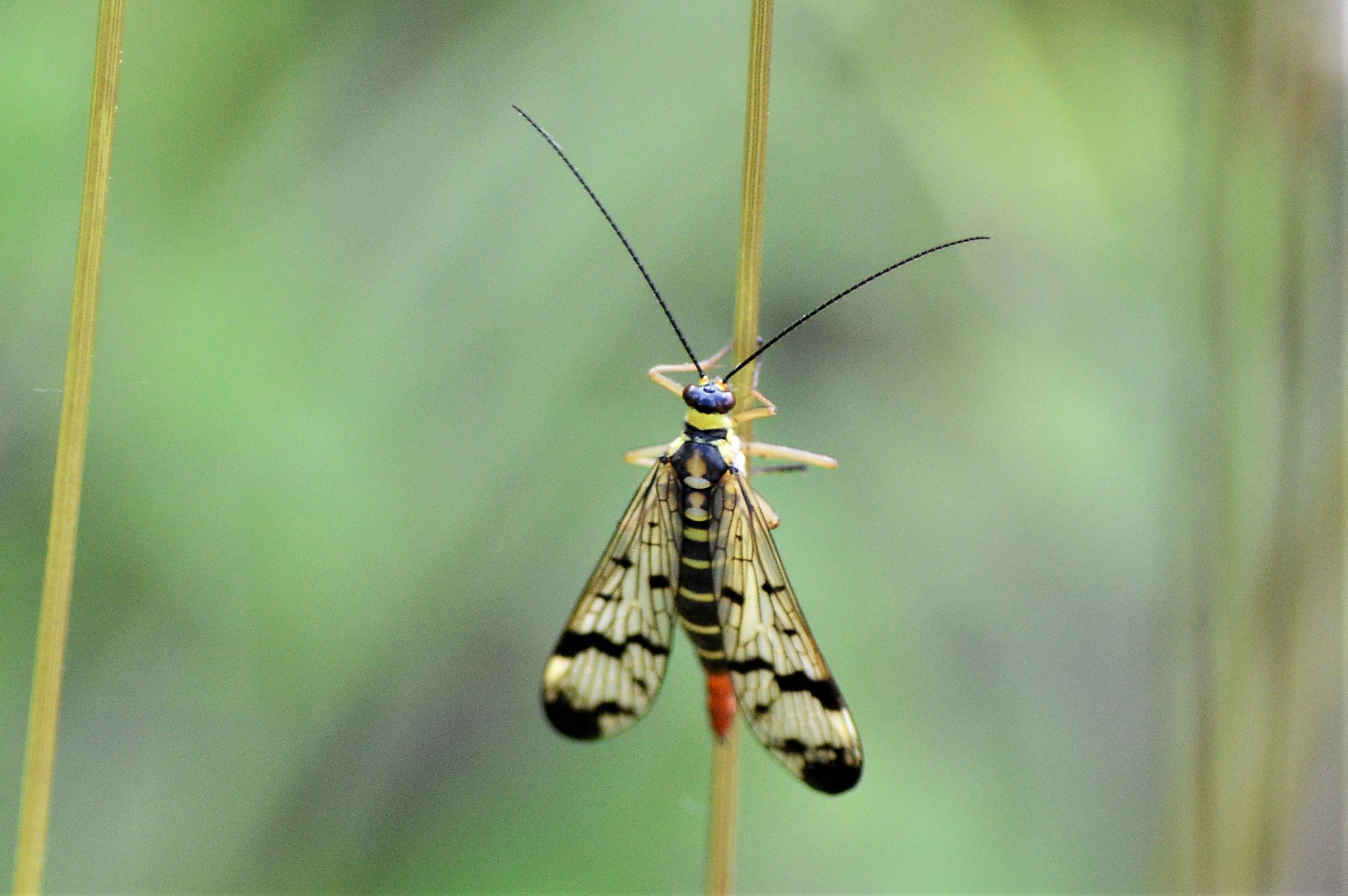 Nikon D3200 sample photo
