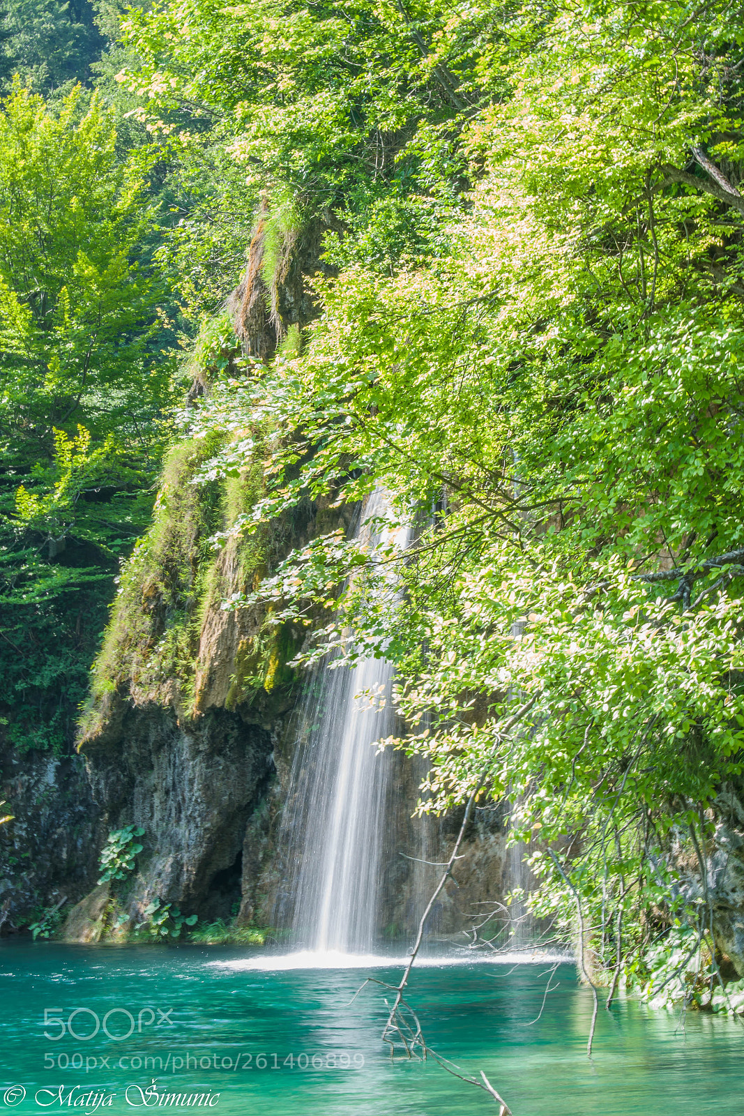 Nikon D5300 sample photo. Forest shower photography