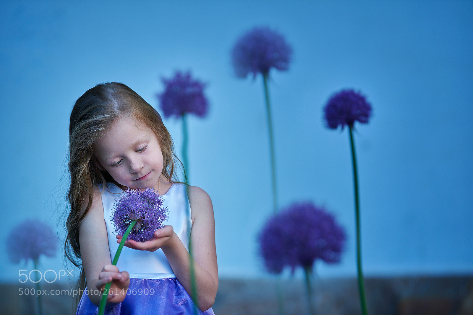 Nikon D810 sample photo. Untitled photography