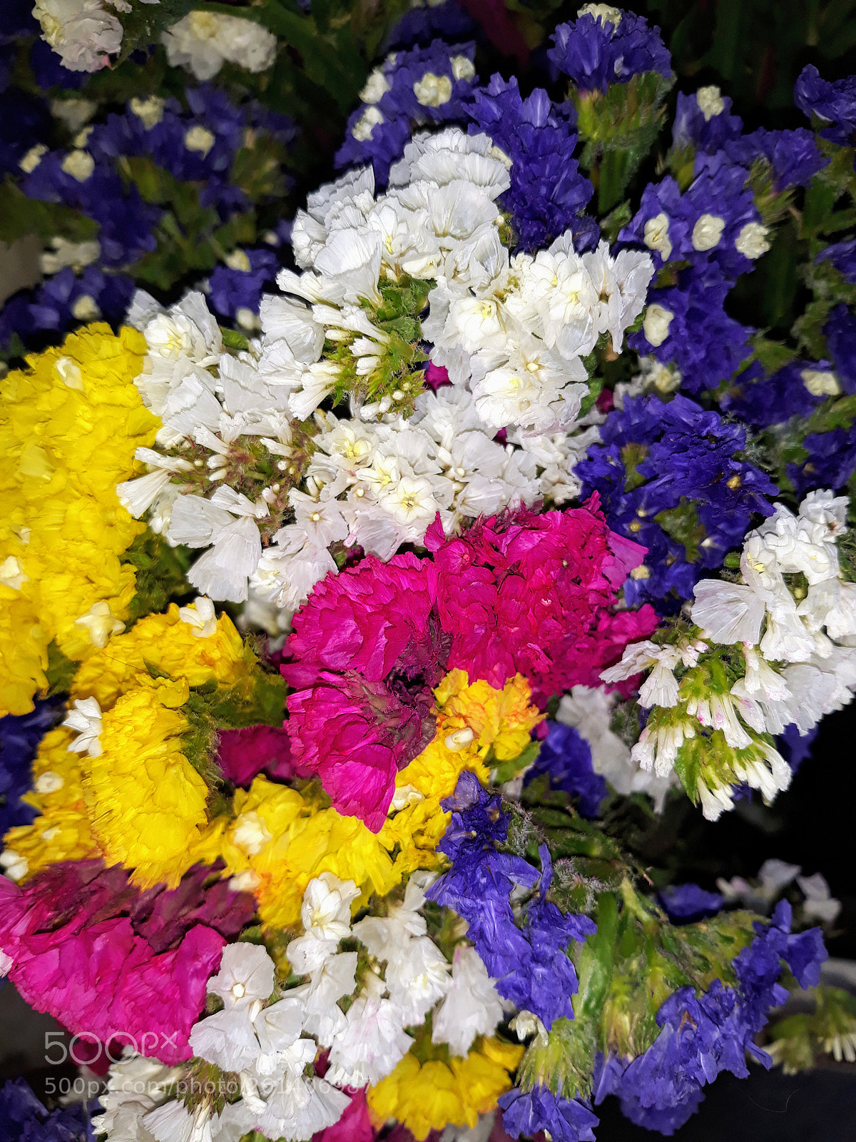 Samsung Galaxy J5 sample photo. Untitled photography