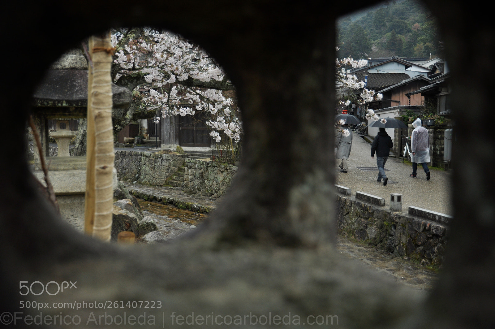 Nikon D90 sample photo. Spying shapes photography