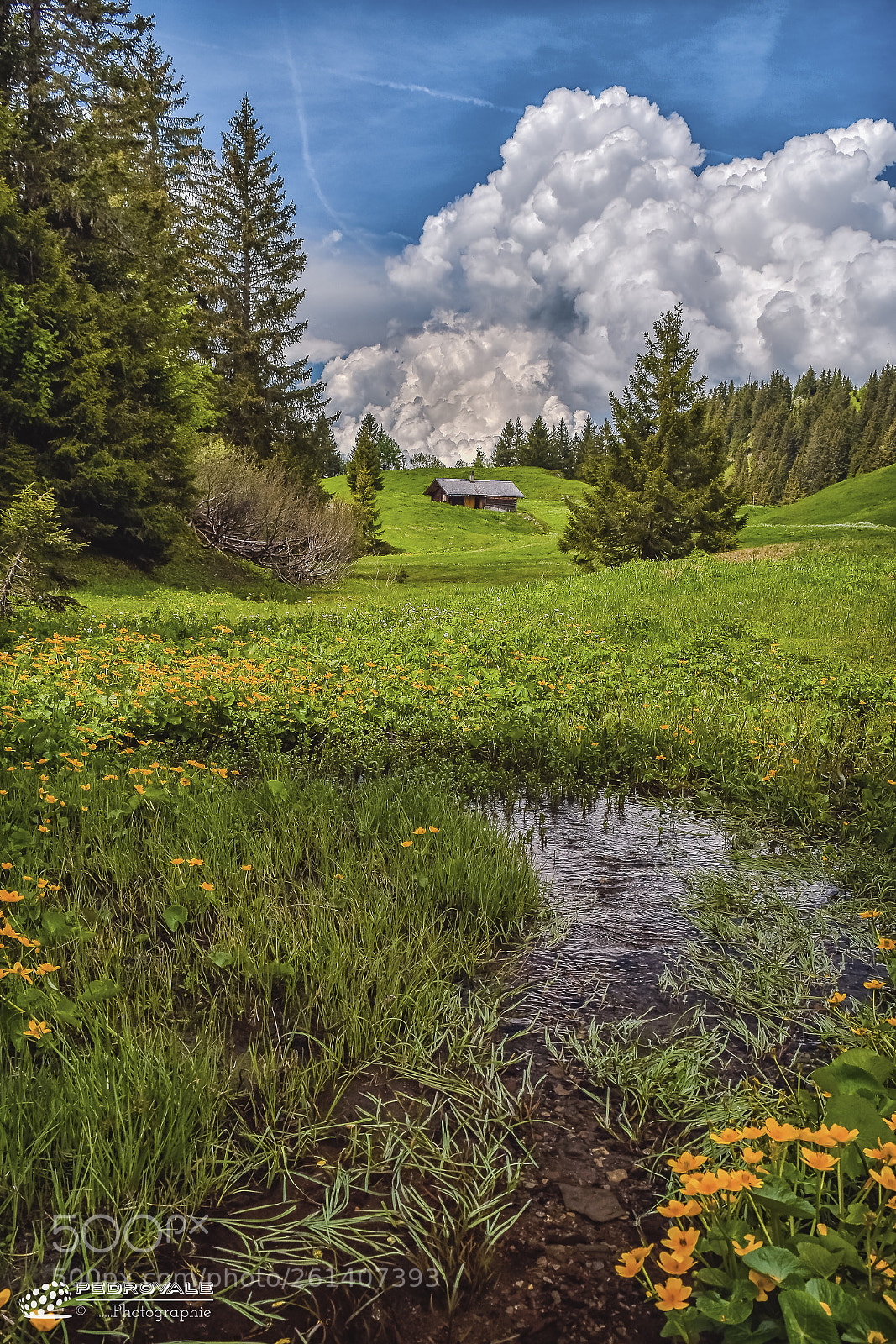 Nikon D5500 sample photo. Switzerland  photography