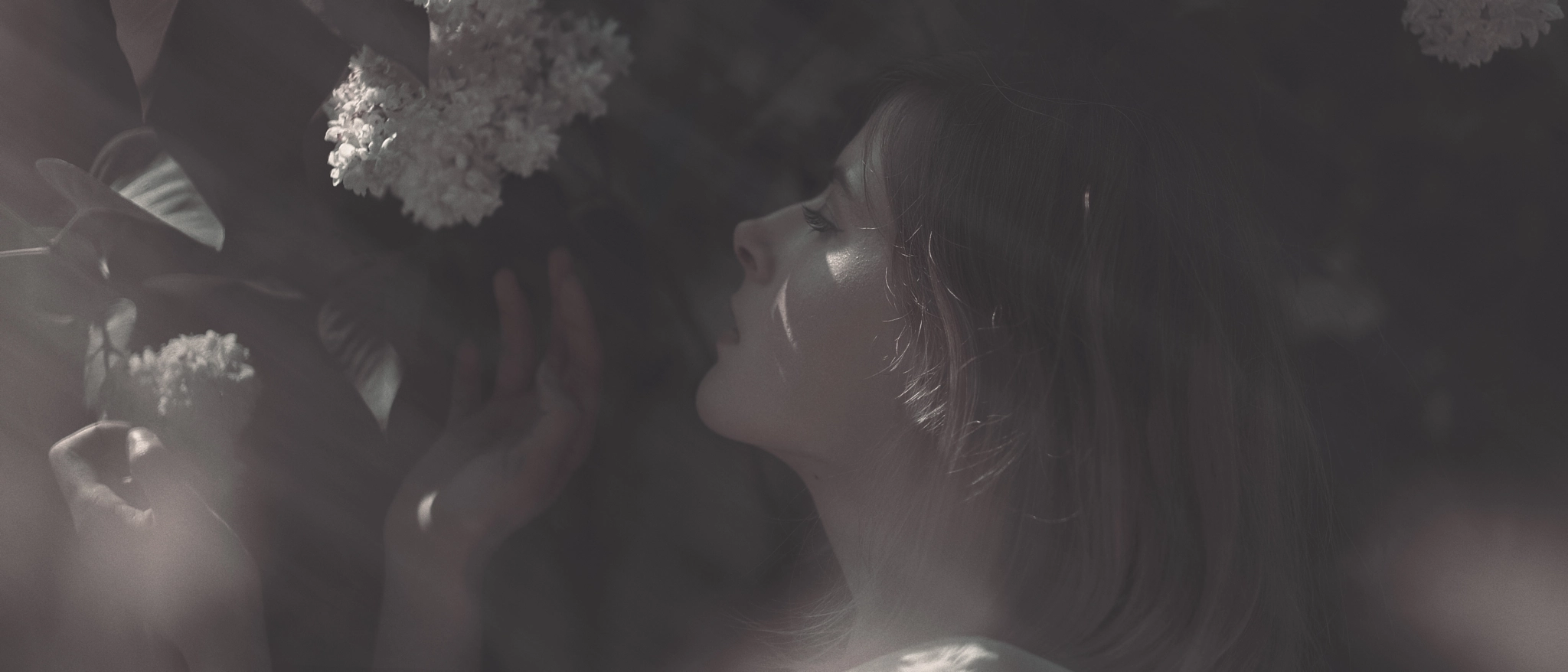 Fujifilm X-H1 sample photo. Hummingbird photography