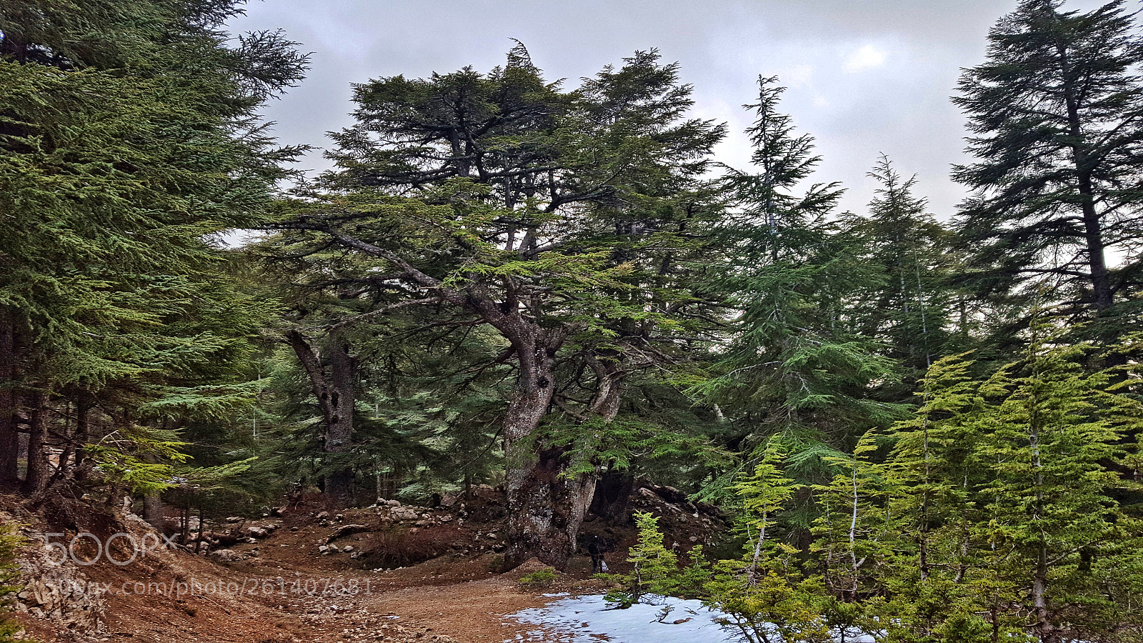 Samsung Galaxy S6 sample photo. 20180201_160756.jpg photography