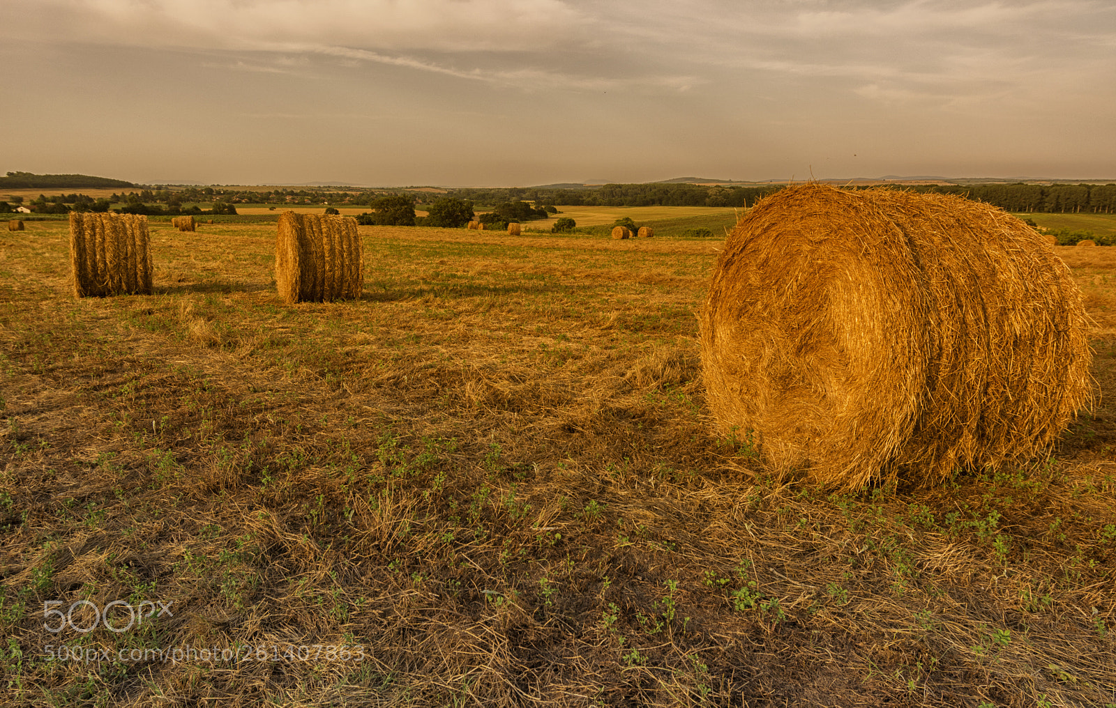 Nikon D5200 sample photo. Wheels in the field. photography