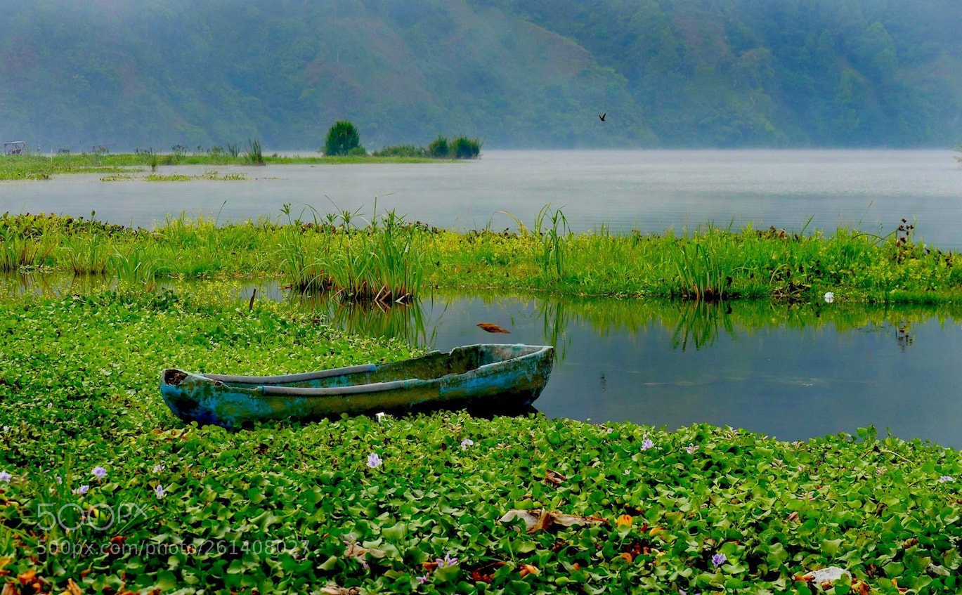 Panasonic Lumix DMC-GH4 sample photo. Lone canoe photography