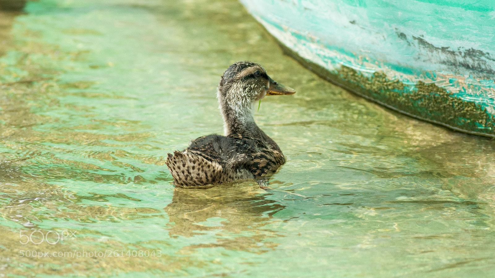 Canon EOS 5D Mark II sample photo. Untitled photography