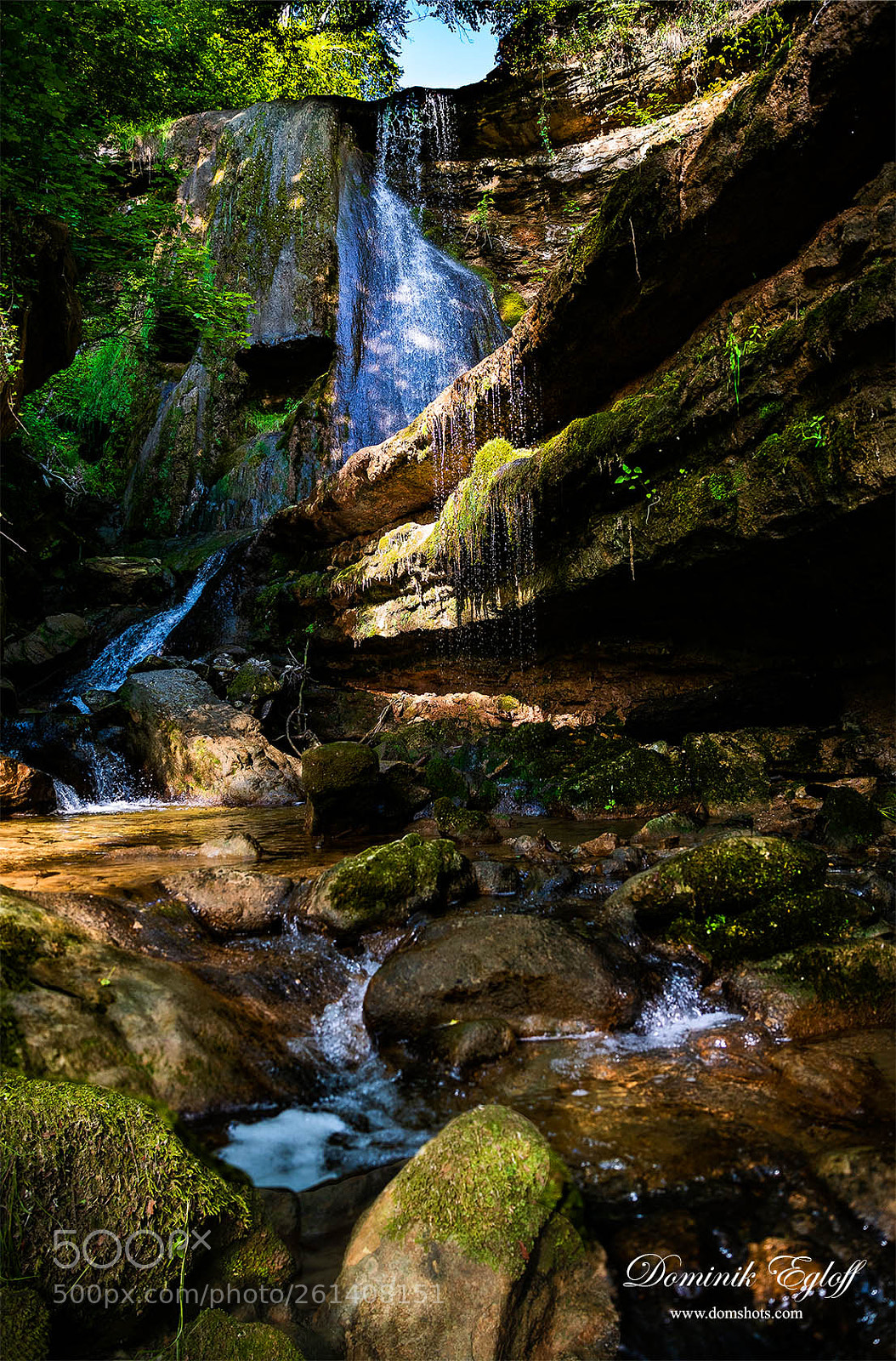 Canon EOS 5D Mark IV sample photo. In the forest photography