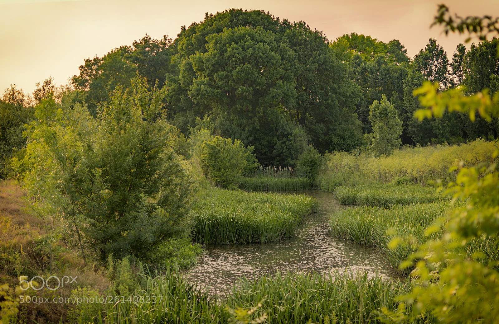 Nikon D5200 sample photo. Landscape photography