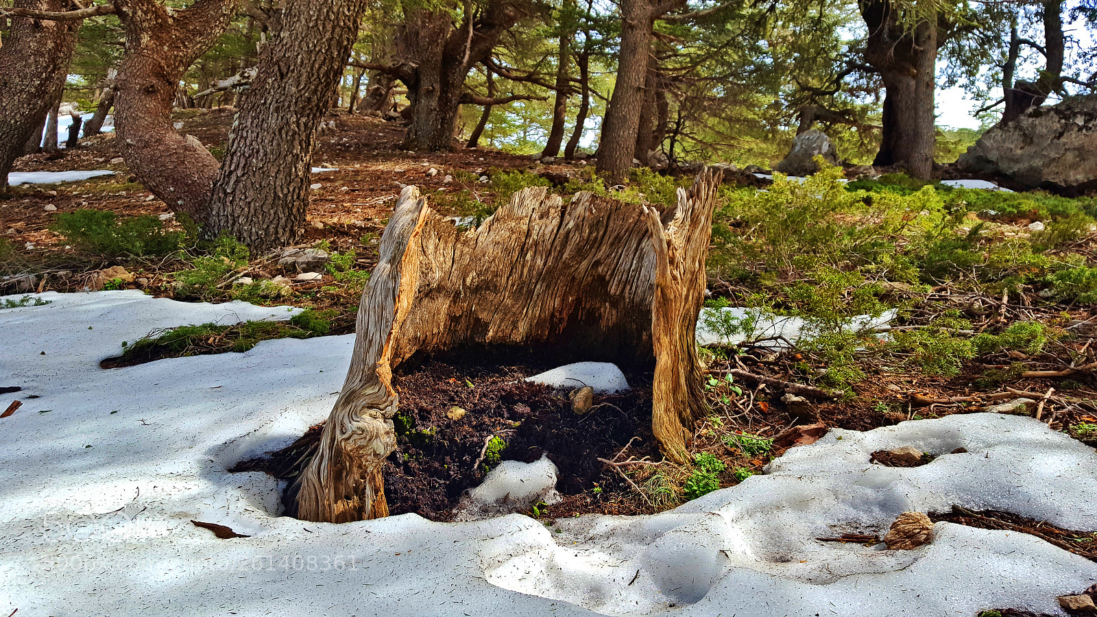 Samsung Galaxy S6 sample photo. 20180402_133657.jpg photography