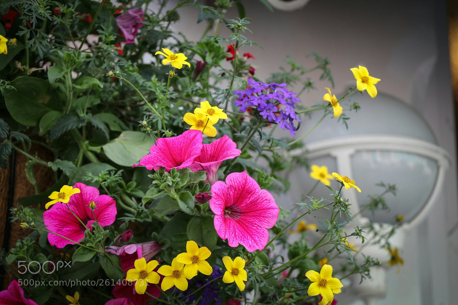 Canon EOS 80D sample photo. Untitled photography