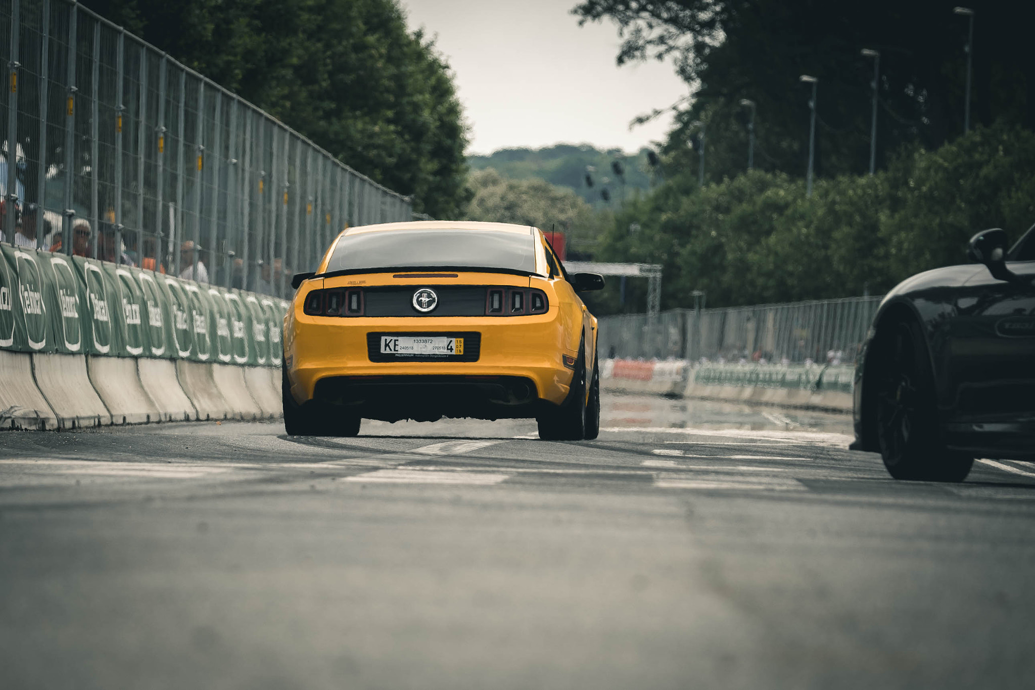 Fujifilm X-H1 sample photo. Chasing the bumblebee photography