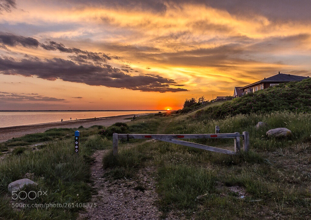 Nikon D7200 sample photo. End of the road photography
