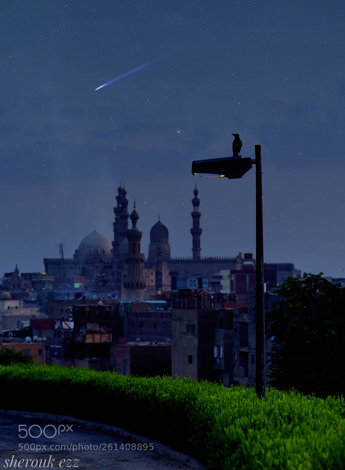 Canon EOS 6D sample photo. Crow photography