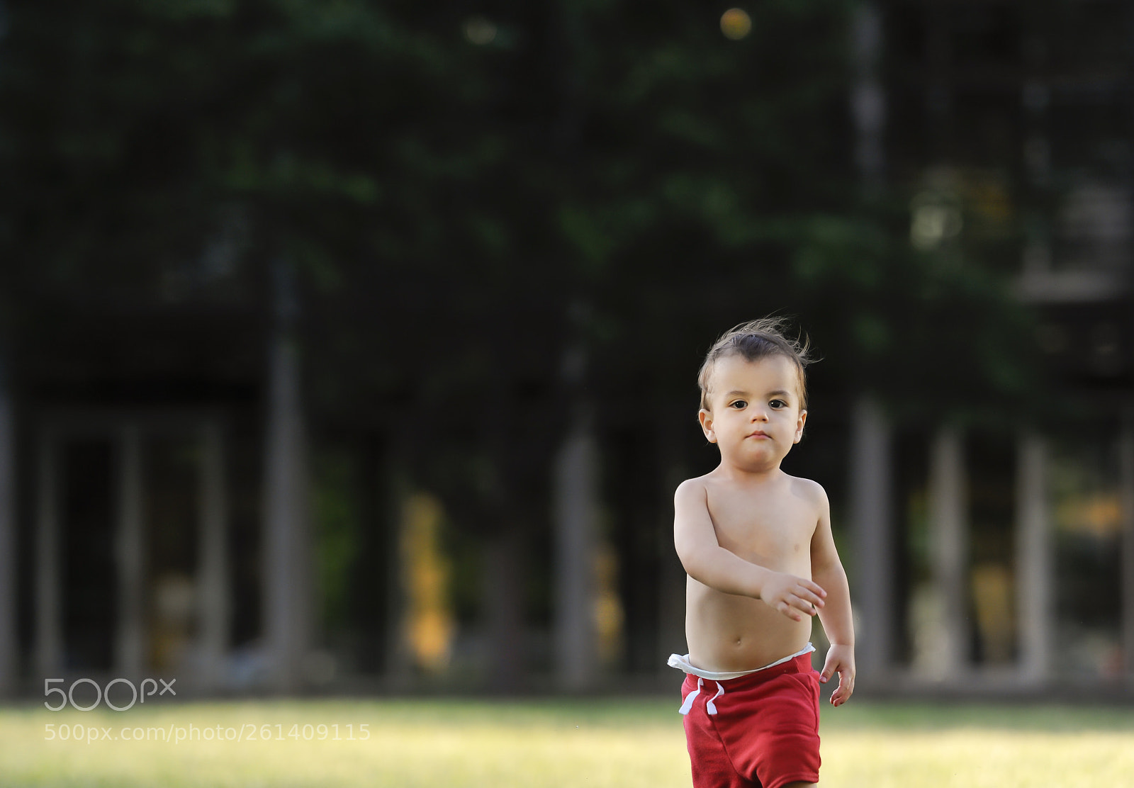 Nikon D700 sample photo. The boss. photography