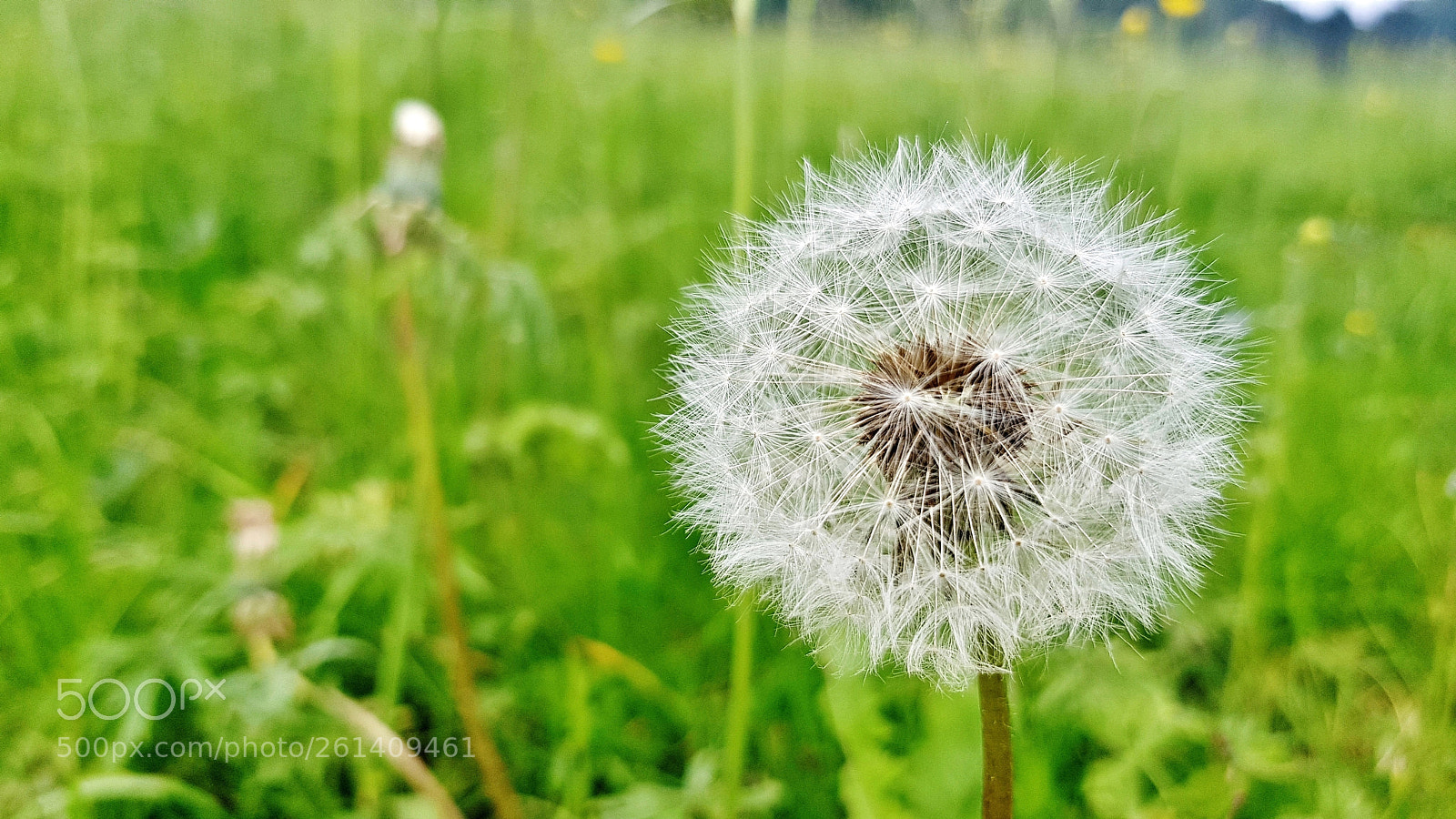 Samsung Galaxy S8 sample photo. Tatarann photography