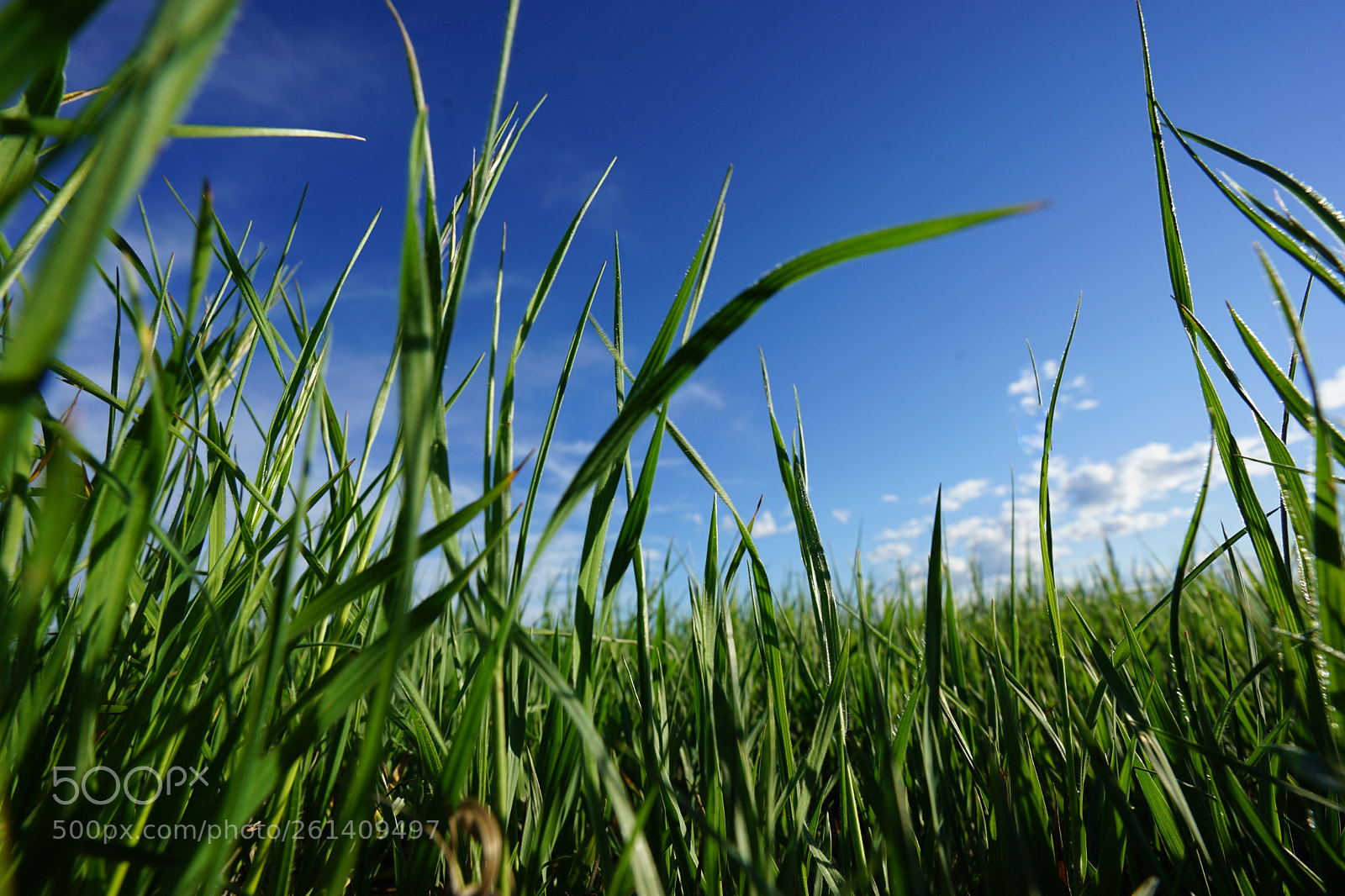 Sony a7 II sample photo. Dsc photography