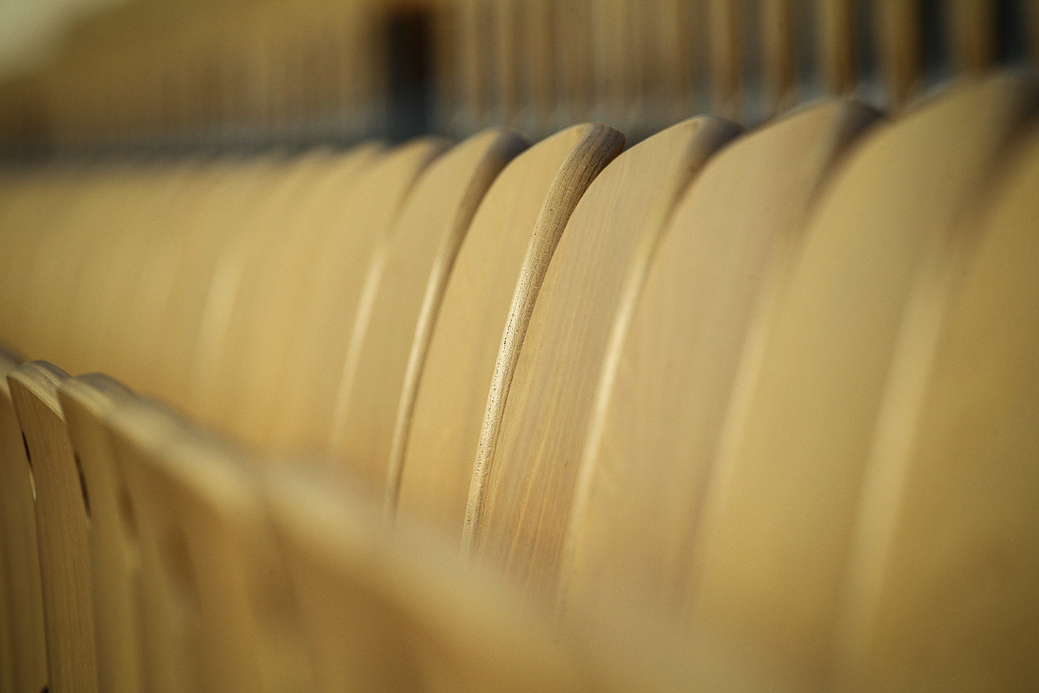 Canon EOS-1D Mark IV sample photo. Suzanne lenglen stadium / roland garros paris photography