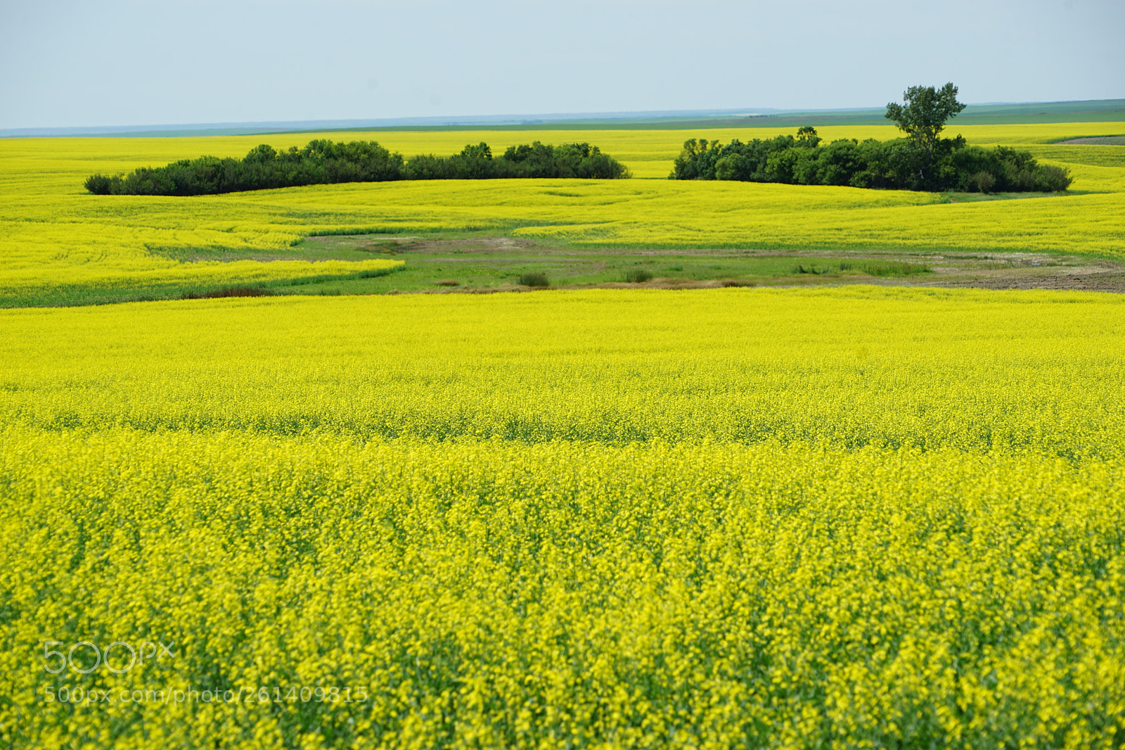 Sony a7 II sample photo. Dsc photography