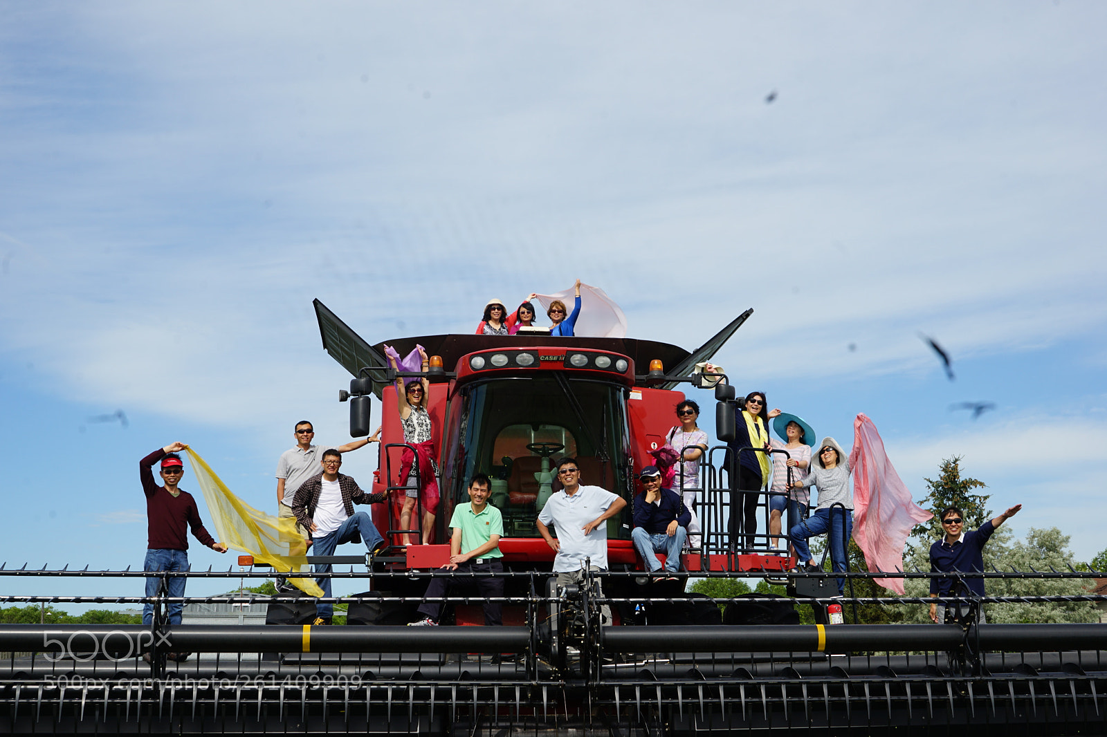 Sony a7 II sample photo. Dsc photography