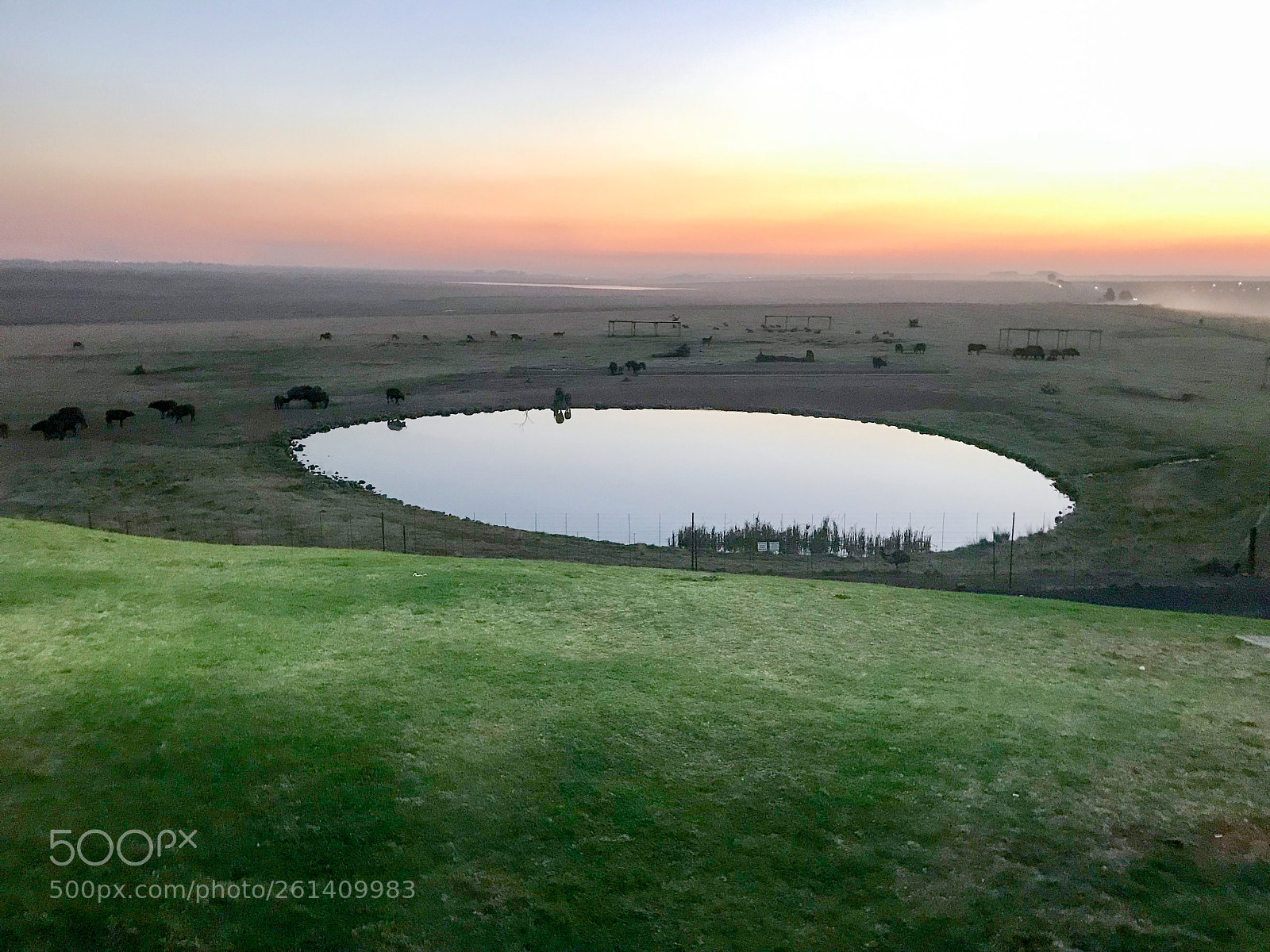 Apple iPhone 7 sample photo. Alzu during dusk photography