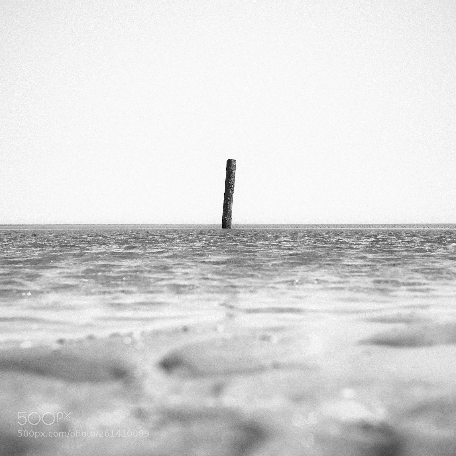 Nikon D810 sample photo. Weniger ist meer photography