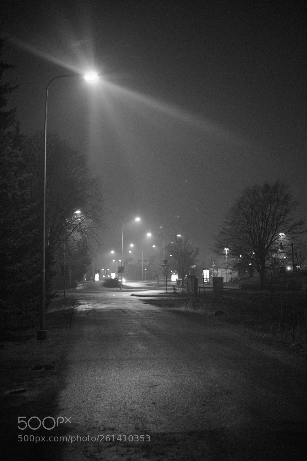 Canon EOS 6D + Canon EF 50mm F1.8 STM sample photo. Foggy night photography