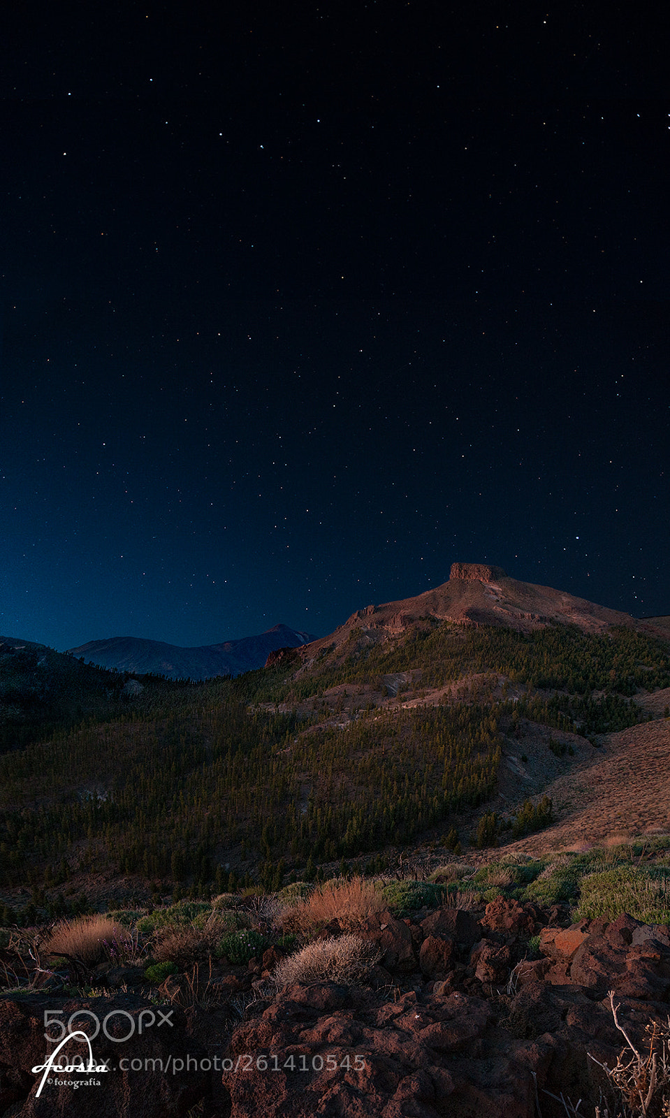 Nikon D300S sample photo. Bocatauce night photography
