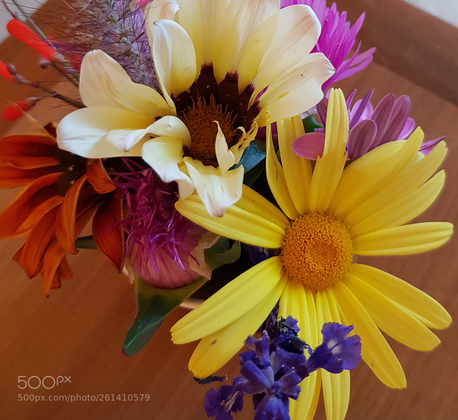 Samsung Galaxy S8 sample photo. Flowers photography