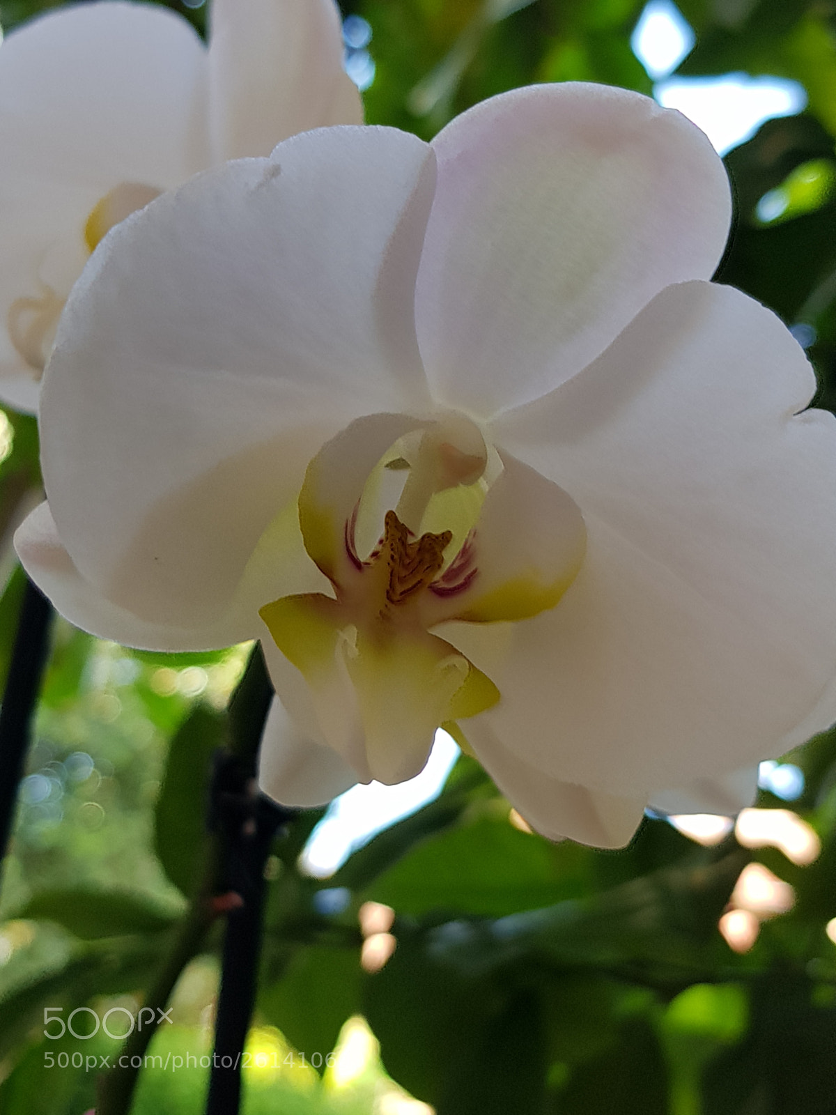 Samsung Galaxy S8 sample photo. Untitled photography
