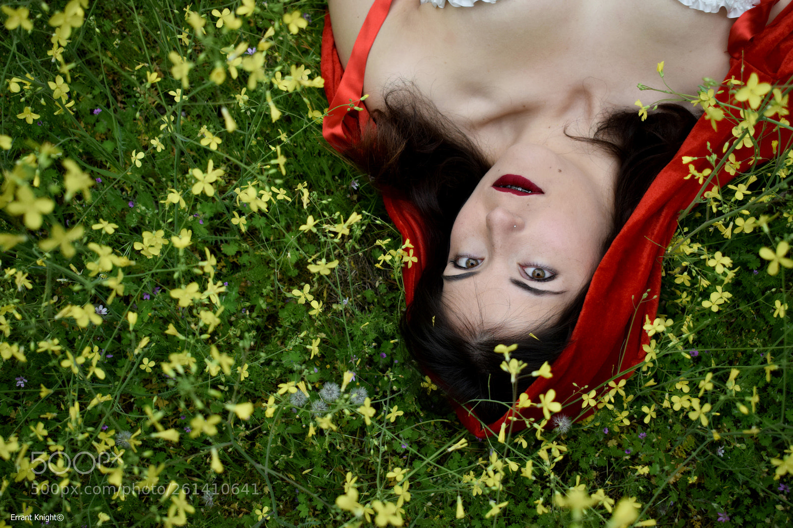 Nikon D3300 sample photo. Los brackets son sexis photography