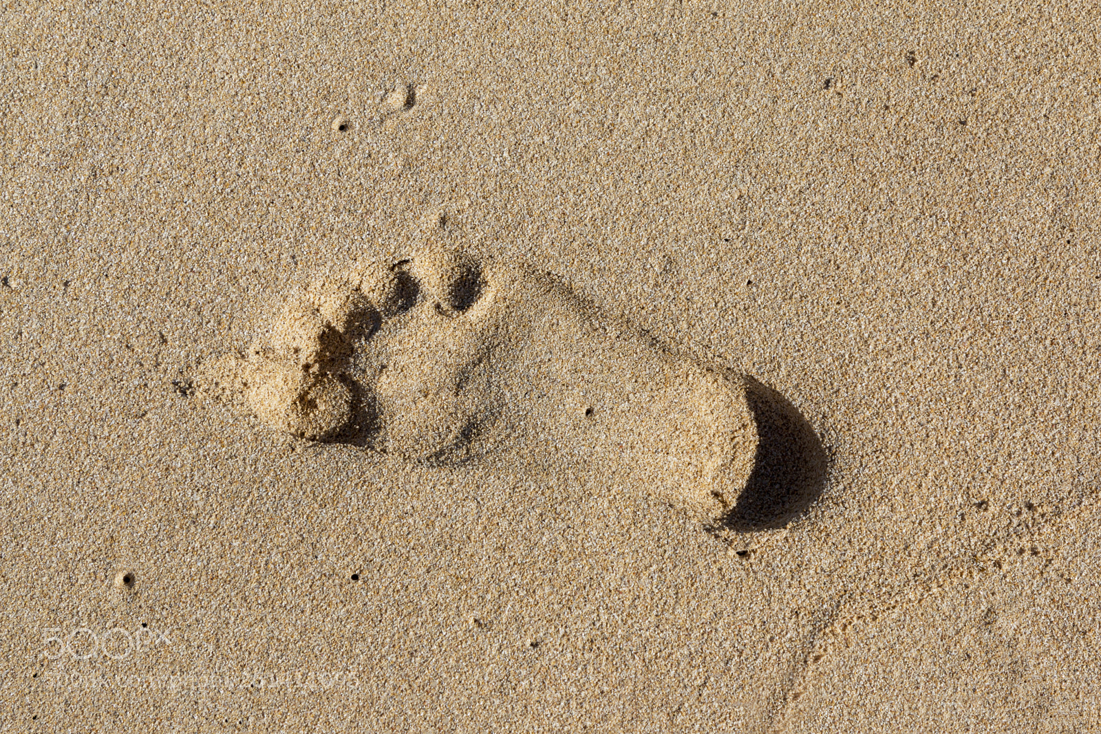 Canon EOS 70D sample photo. Las dunas beach photography