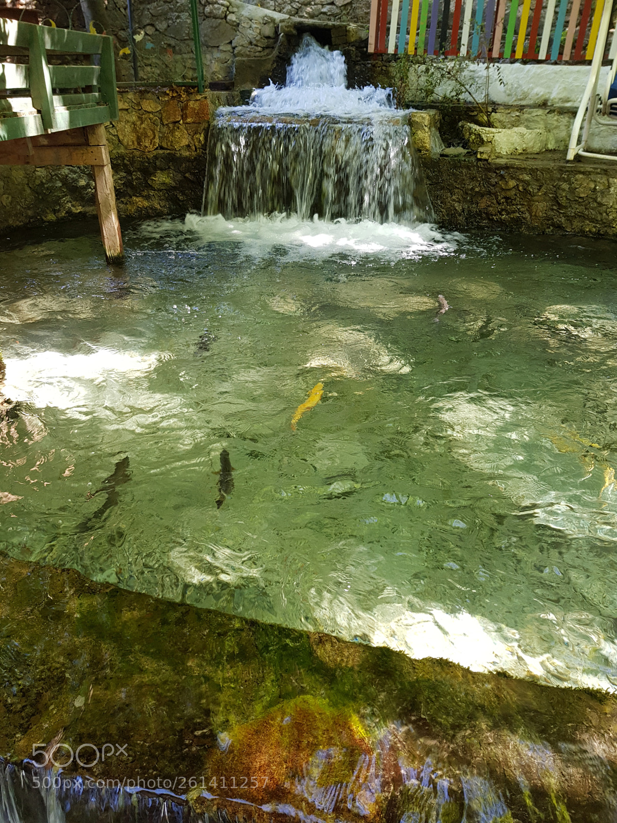 Samsung Galaxy S8 sample photo. Trout farm in turkey. photography