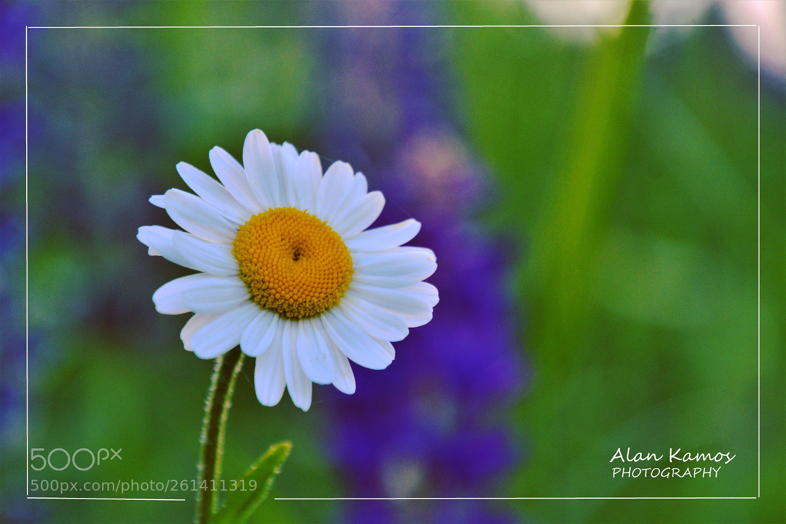 Nikon D5200 sample photo. Untitled photography