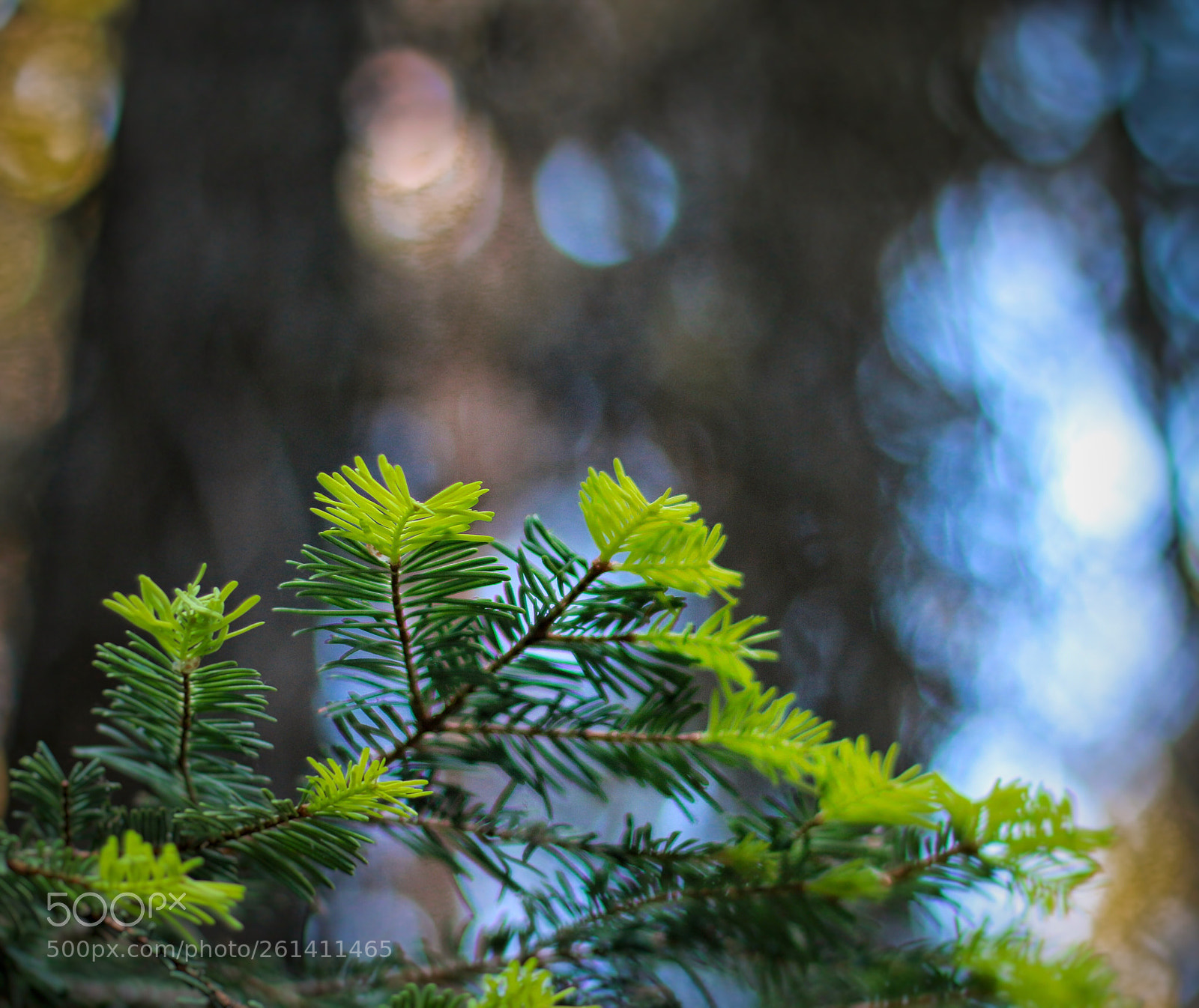 Canon EOS 70D sample photo. Seeing is feeling photography