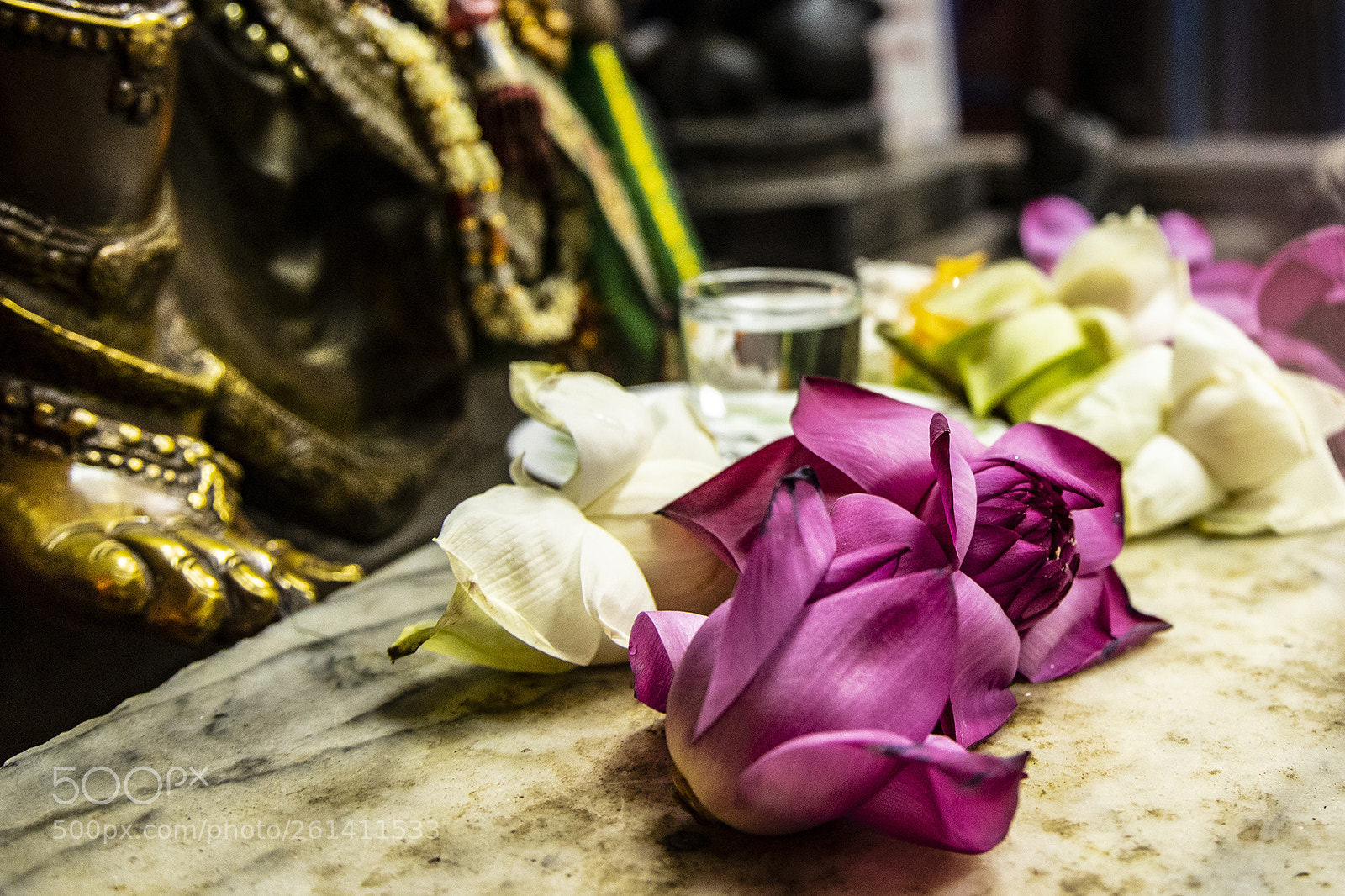 Canon EOS-1D X Mark II sample photo. Colombo photography