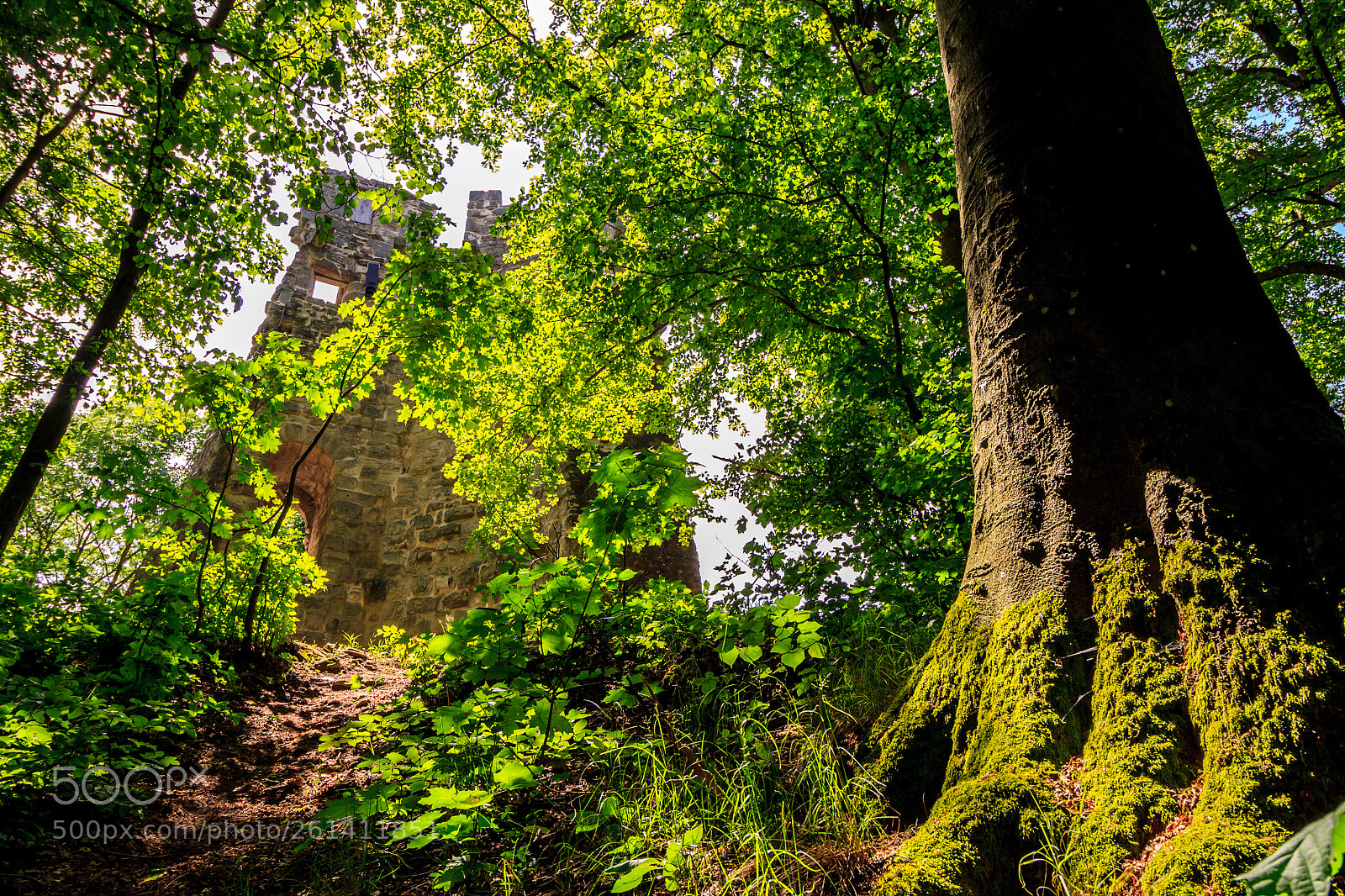Canon EOS 50D sample photo. Castle ruin stollburg photography