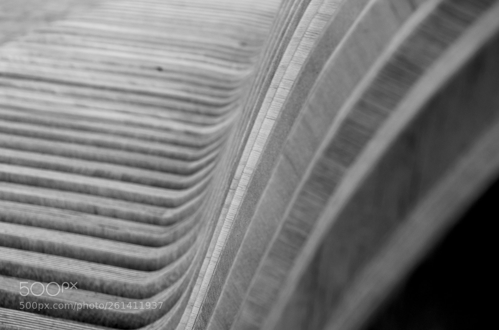 Nikon D7000 sample photo. Wooden lines photography