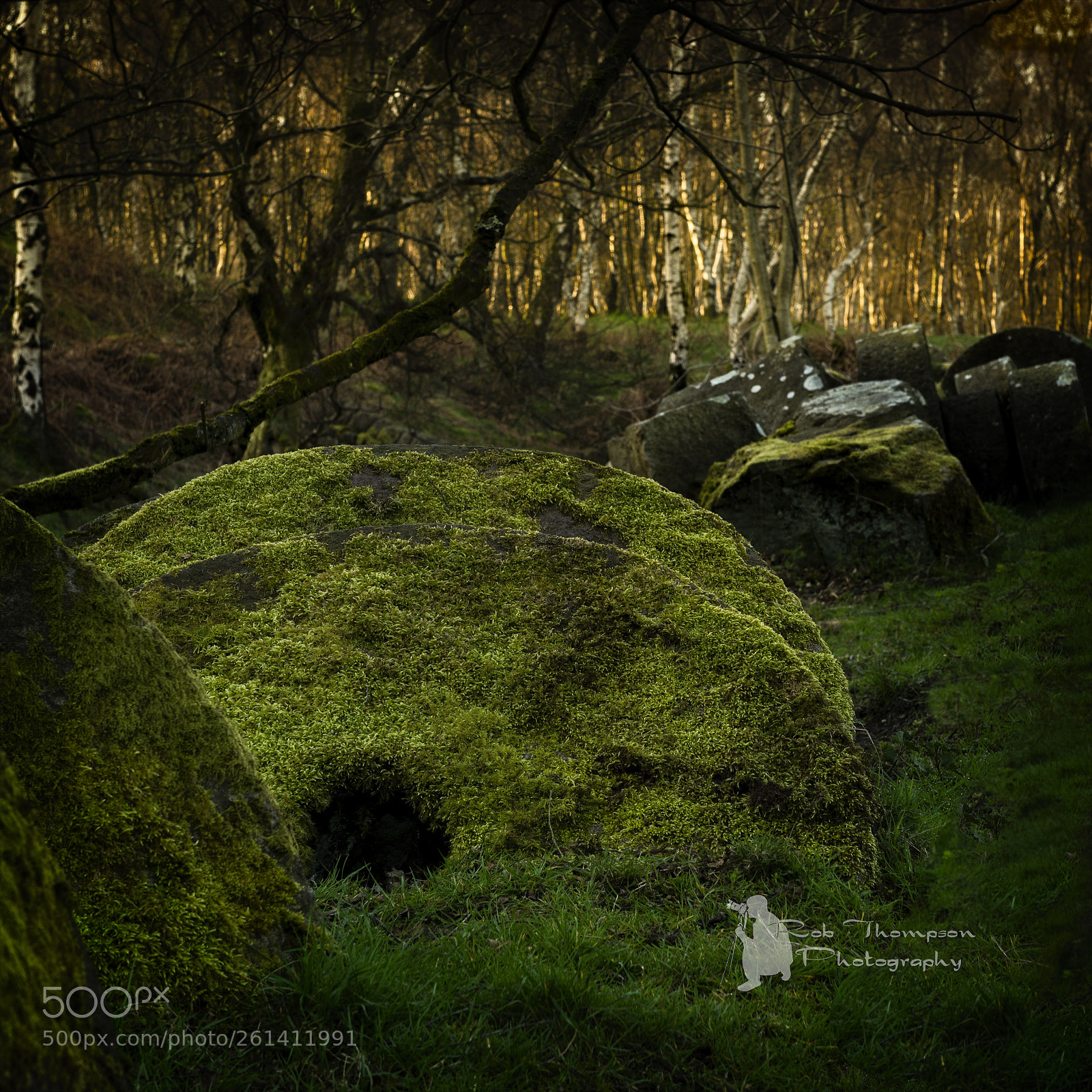 Nikon D800 sample photo. Bolehill quarry photography