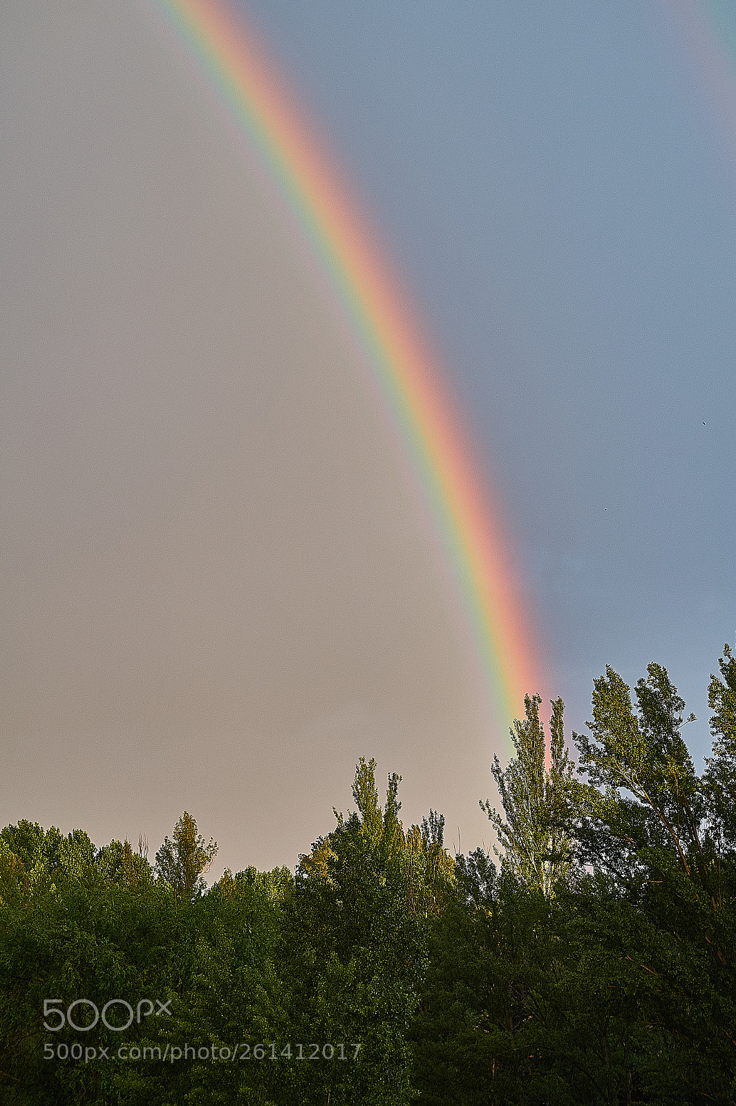 Sony SLT-A58 sample photo. Arco iris photography