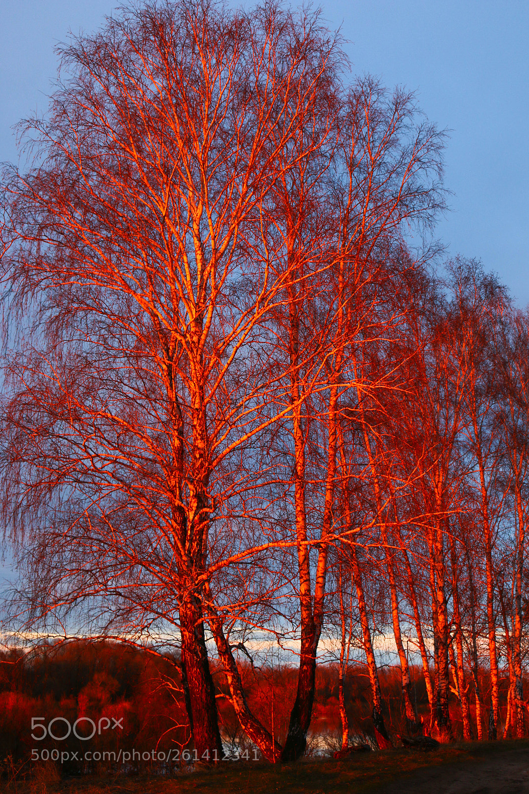 Canon EOS 70D sample photo. Red down photography