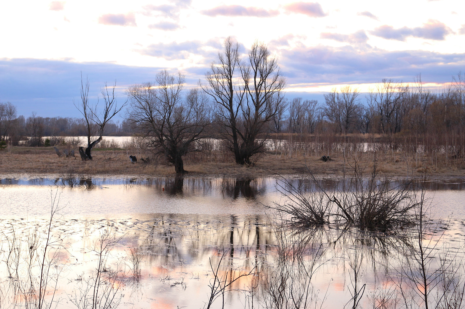 Canon EOS 70D sample photo. Белый вечер photography
