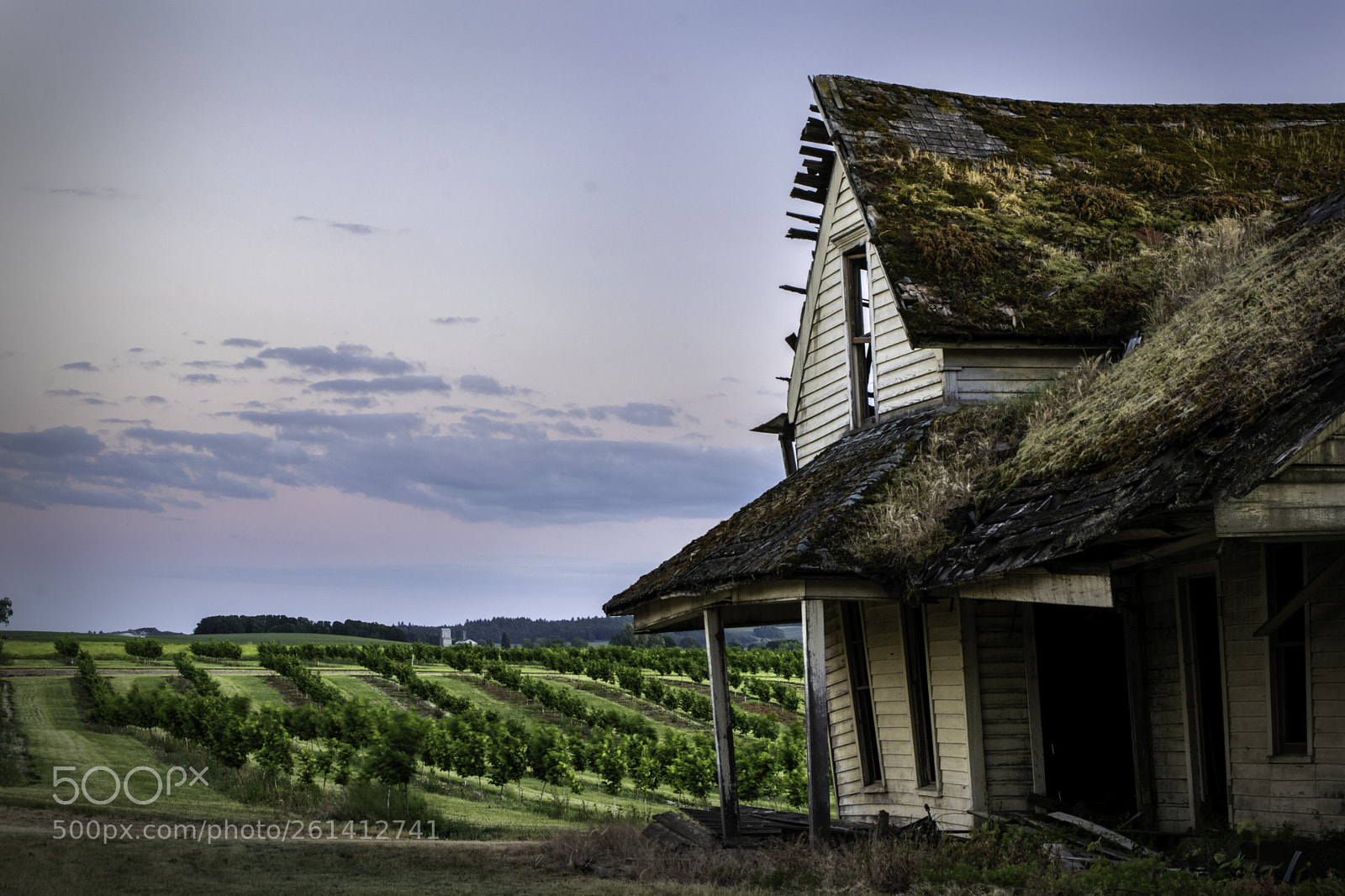 Nikon D3300 sample photo. Abandoned farmhouse photography