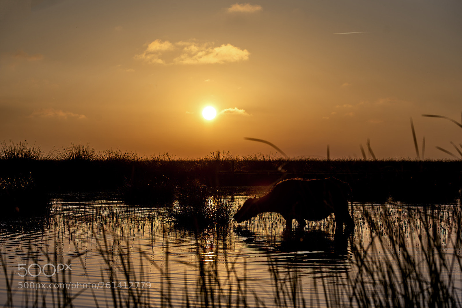 Nikon D810 sample photo. Sunset photography