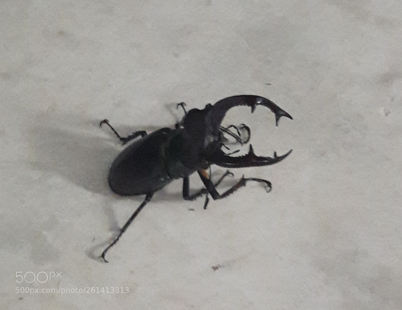 Samsung Galaxy A5(2016) sample photo. Untitled photography