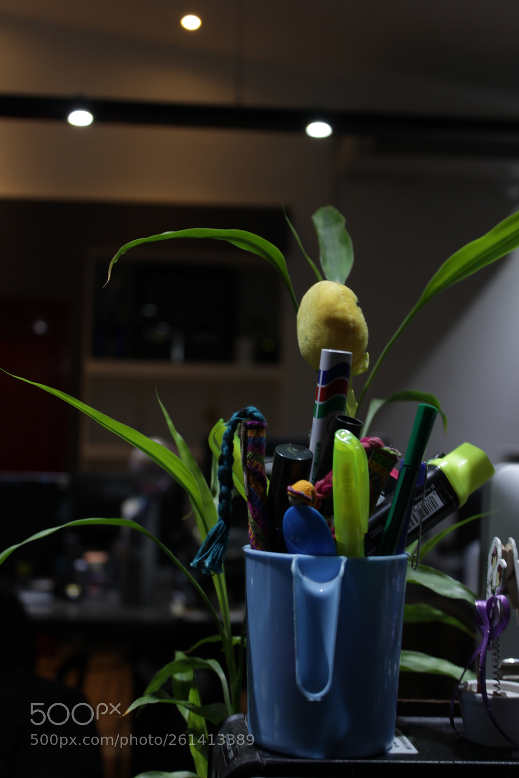Canon EOS 600D (Rebel EOS T3i / EOS Kiss X5) sample photo. Img photography