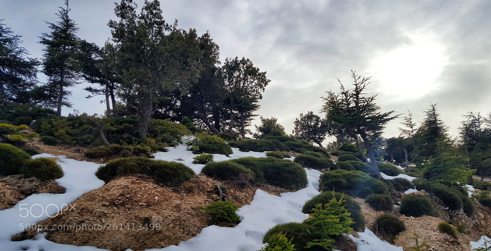 Samsung Galaxy S6 sample photo. 20180402_171248.jpg photography