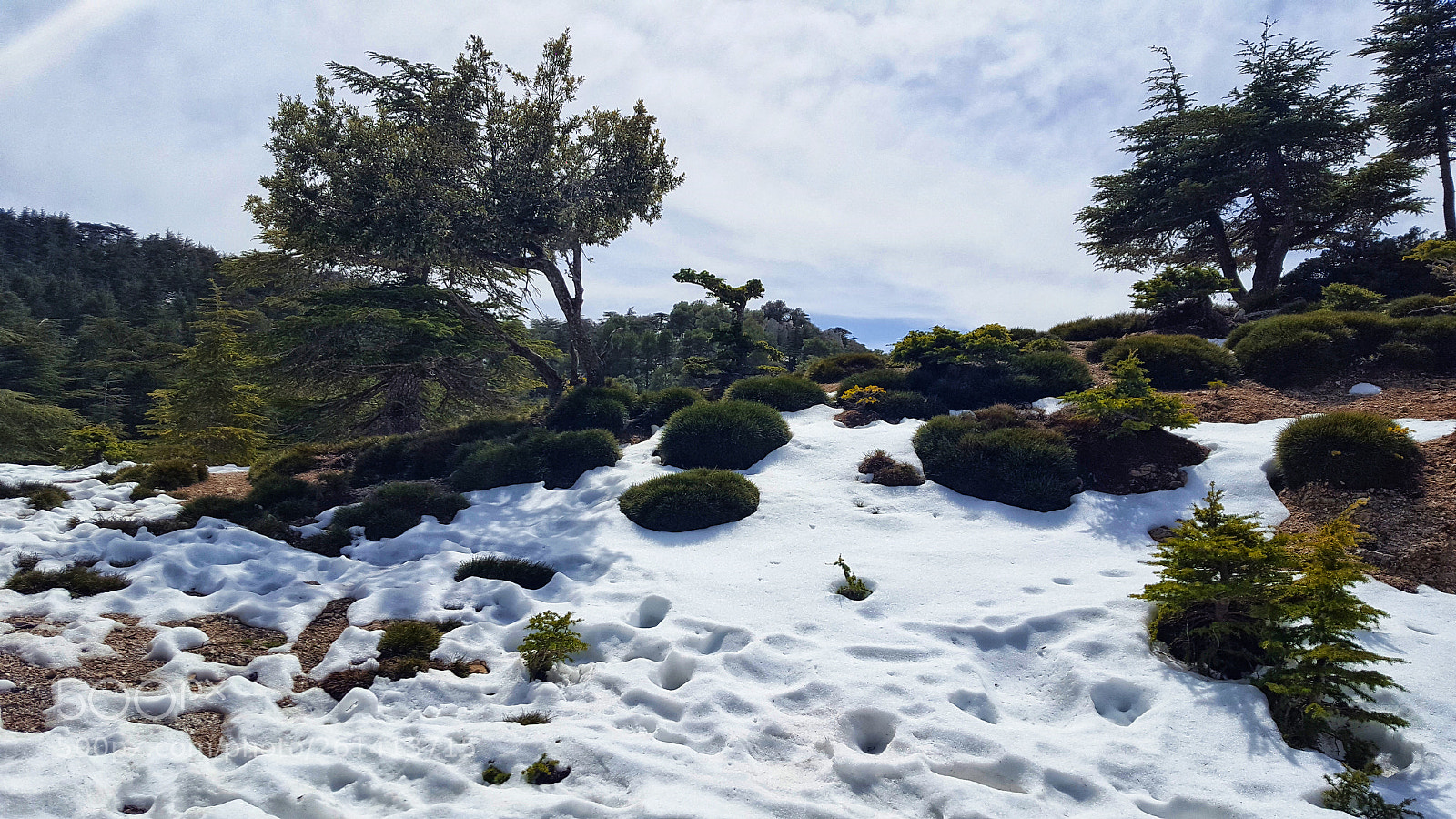 Samsung Galaxy S6 sample photo. 20180402_131924.jpg photography