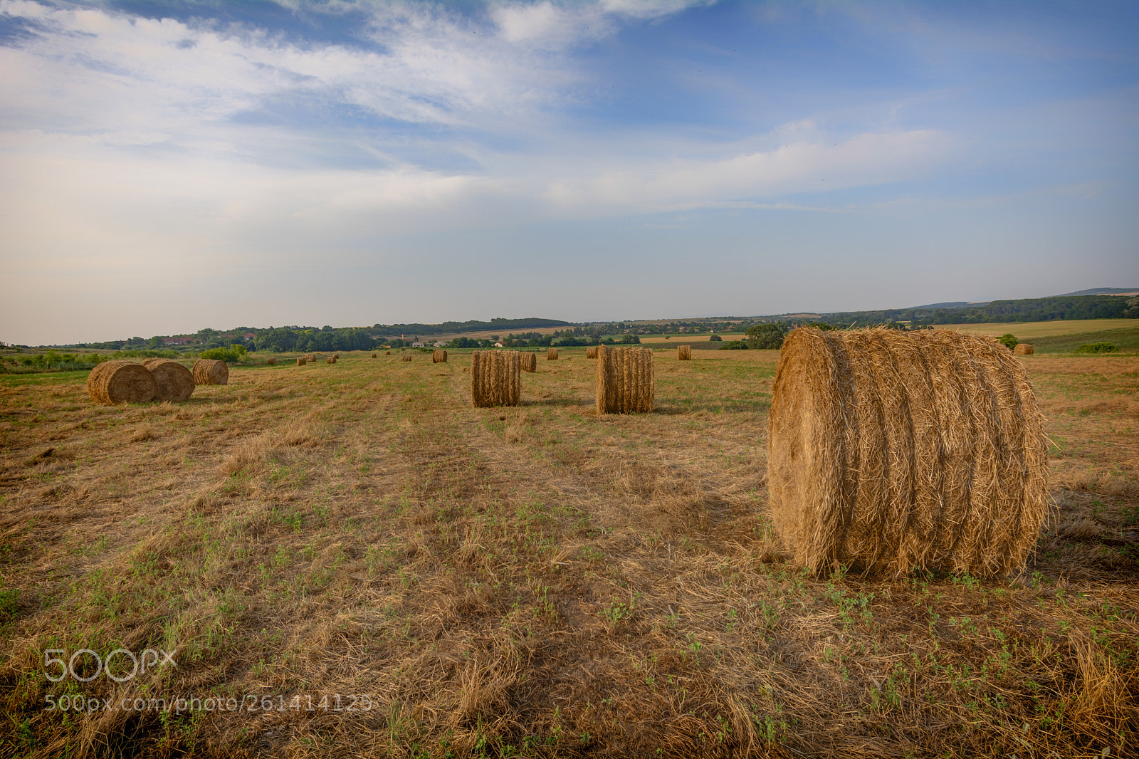 Nikon D5200 sample photo. Field race. photography